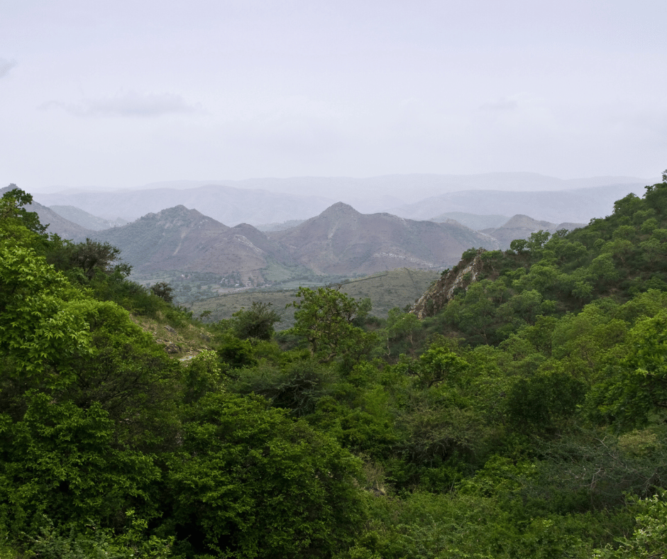 Rayta Hills